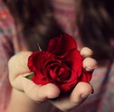 Entrega de Flores em São Paulo – Agilidade e Praticidade