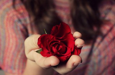 Entrega de Flores em São Paulo – Agilidade e Praticidade