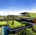 Telhados Ecológicos – Aliados da Sustentabilidade