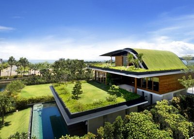 Telhados Ecológicos – Aliados da Sustentabilidade