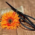 Flores de Tecido – Saiba Como Fazer e Utilize na Decoração