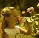 Saiba mais Sobre a História do Perfume e as Flores