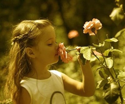 Saiba mais Sobre a História do Perfume e as Flores
