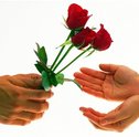 Saiba como Presentear com Flores uma Pessoa Especial
