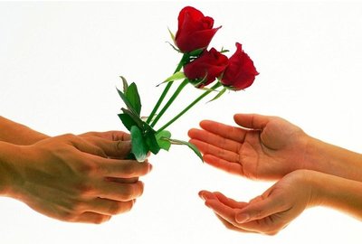 Saiba como Presentear com Flores uma Pessoa Especial