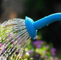 Ideias para Regar o Jardim de Forma Amiga do Ambiente
