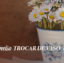 Quando é Preciso Trocar de Vaso uma Planta?