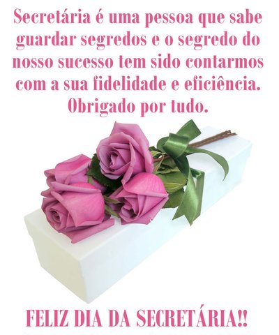 Dia da Secretária – Celebre com Carinho este Dia tão Especial