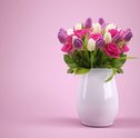 Tulipas — Decore Ambientes e Presenteie com Lindas Flores!