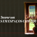 Plantas em Espaços com Pouca Luz – Saiba como Decorar!