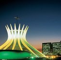 Saiba como Presentear Alguém com as Flores em Brasília