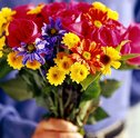Peça Desculpa em Grande Estilo Enviando Lindas Flores