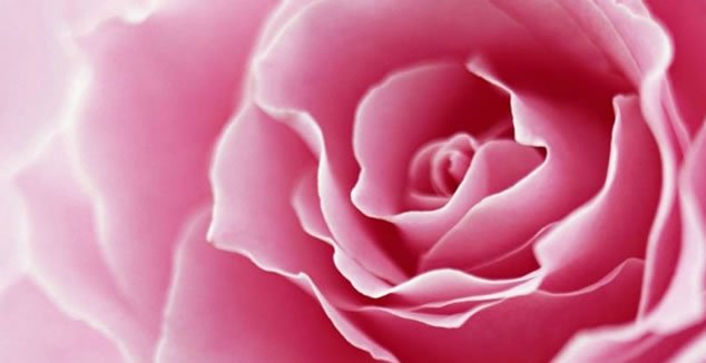 Continue na Conscientização da Campanha do Outubro Rosa