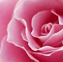 Continue na Conscientização da Campanha do Outubro Rosa