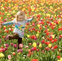 Confira Dicas de Flores para Jardim na Primavera