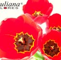 Prêmio Giuliana Flores 2013 – Excelência no Atendimento ao Consumidor
