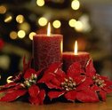 Confira as Melhores Dicas de Decoração de Natal com Flores