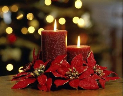 Confira as Melhores Dicas de Decoração de Natal com Flores