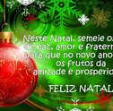 Surpreenda no Natal com Uma Linda Mensagem