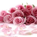 Saiba por que presentear com rosas