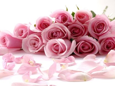 Saiba por que presentear com rosas