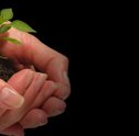 Dicas Simples que Contribuem para a Sustentabilidade