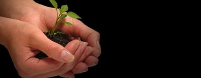 Dicas Simples que Contribuem para a Sustentabilidade