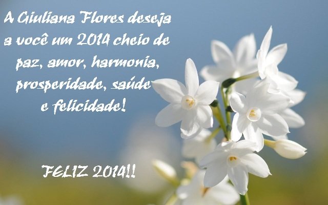 Feliz 2014!