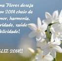 Feliz 2014!