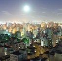 Entrega Rápida de Flores para São Paulo