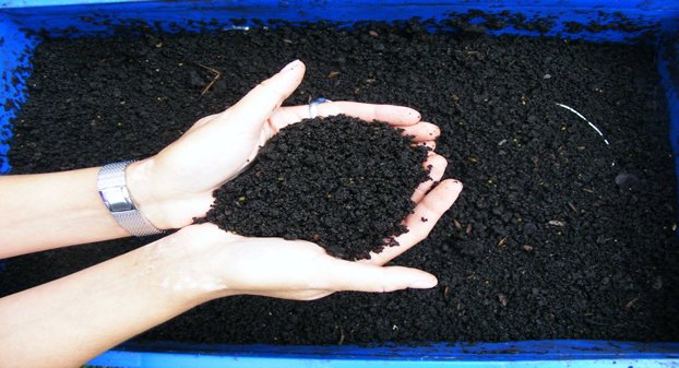 Como Construir um Minhocário no seu Jardim ou na sua Horta