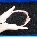 Como Construir um Minhocário no seu Jardim ou na sua Horta