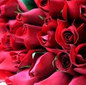 Aprenda a Presentear Pessoas Especiais com Flores