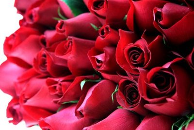 Aprenda a Presentear Pessoas Especiais com Flores