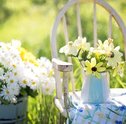 Decoração Sustentável – Saiba Como Decorar sua Casa com Flores!