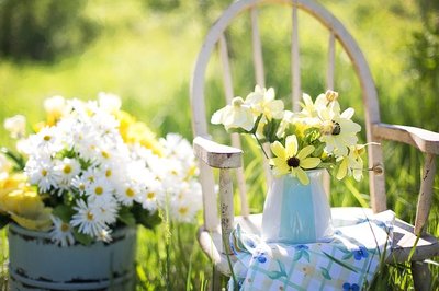 Decoração Sustentável – Saiba Como Decorar sua Casa com Flores!