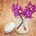 Decore sua Casa com Diferentes Vasos de Flores