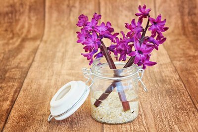 Decore sua Casa com Diferentes Vasos de Flores