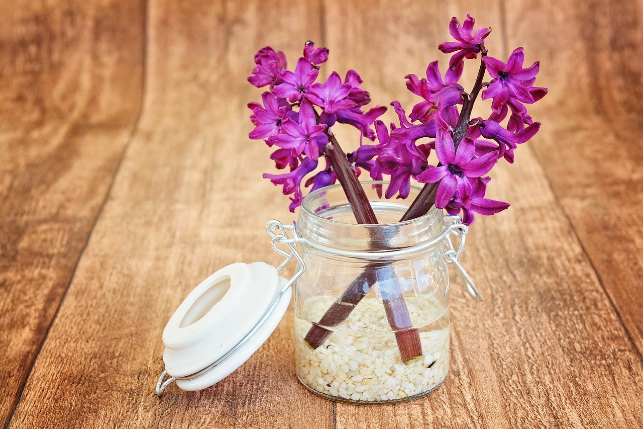 Decore sua Casa com Diferentes Vasos de Flores