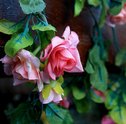 Flores Artificiais: Saiba Como Conservá-las