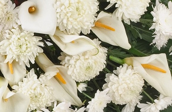 Conheça os Significados das Coroas de Flores