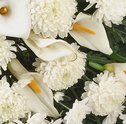 Conheça os Significados das Coroas de Flores