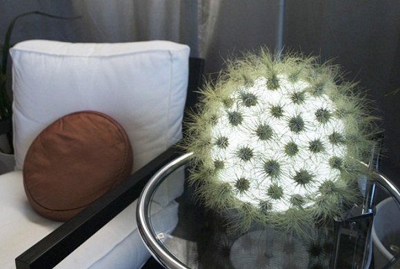 Decore seu Lar com Lindas Luminárias Ecológicas