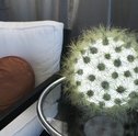 Decore seu Lar com Lindas Luminárias Ecológicas