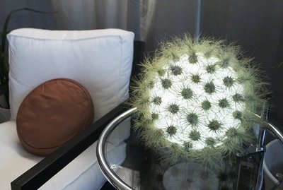 Decore seu Lar com Lindas Luminárias Ecológicas