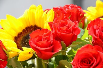 Flores que se Mantêm Lindas e Floridas por mais Tempo