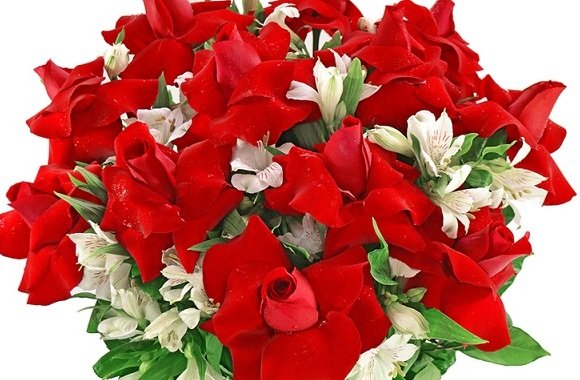 Combine Livros e Flores e Monte o Presente Ideal