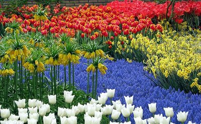 Parque de Keukenhof – saiba mais sobre um dos lugares mais lindos do mundo