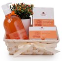 Kits de cuidados para o corpo: uma deliciosa opção de presente!