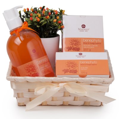 Kits de cuidados para o corpo: uma deliciosa opção de presente!
